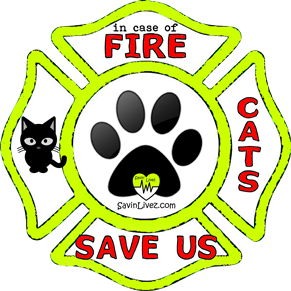 reflective cats rescue decal
