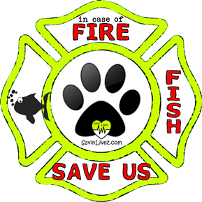 reflective fish rescue decal, fish alert, save my fish, fish alert sticker, fish window sticker, fish inside, fish emergency decal, fish inside decal, fish finder, fish rescue alert decal, firefighter decal, refelctive decal, reflective sticker, in case of fire, firefighter decal, fire department