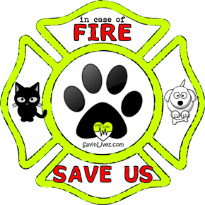 reflective dog and cat rescue decal